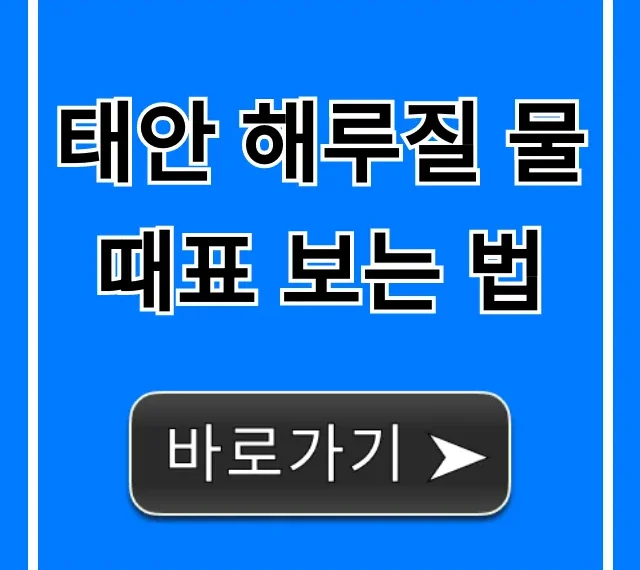 태안 해루질 물때표 보는 법 완벽 가이드