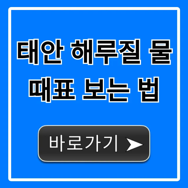 태안 해루질 물때표 보는 법 완벽 가이드 태안 해루질 물때표 보는 법 완벽 가이드