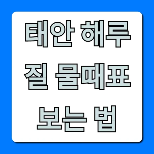 태안 해루질 물때표 보는 법 완벽 가이드