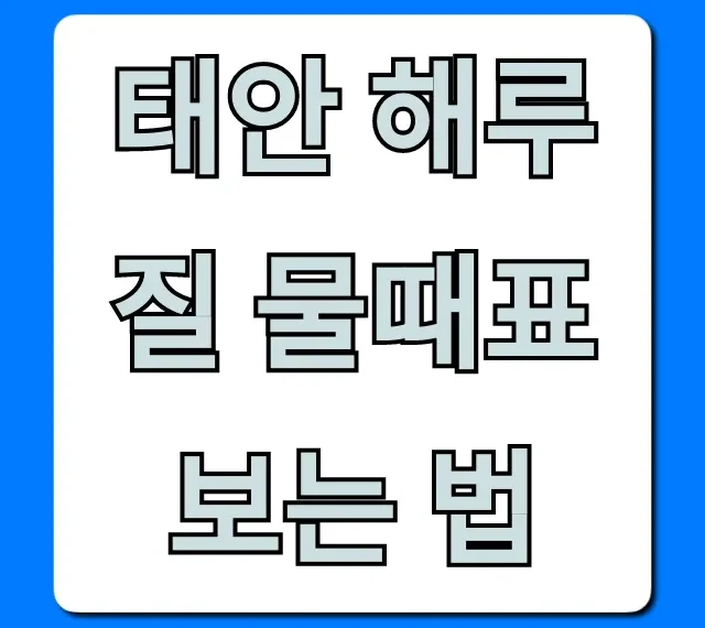 태안 해루질 물때표 보는 법 완벽 가이드