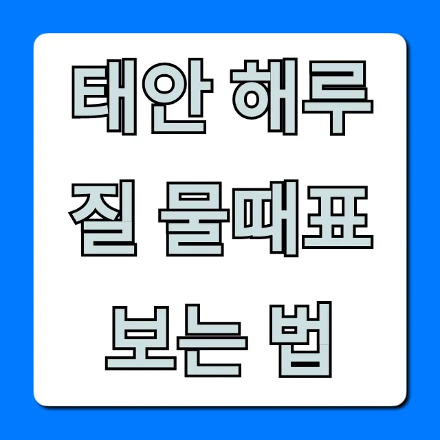 태안 해루질 물때표 보는 법 완벽 가이드