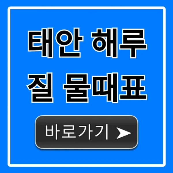 태안 해루질 물때표 초보자 황금 시간 꿀팁