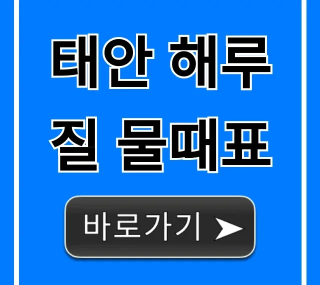 태안 해루질 물때표 초보자 황금 시간 꿀팁