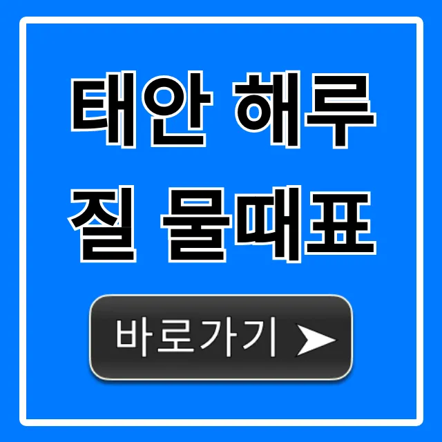 태안 해루질 물때표, 황금 물때 찾는 꿀팁 대방출!