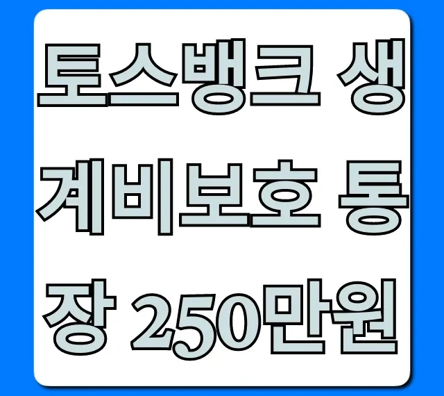 토스뱅크 생계비보호 통장 250만원 신청 자격 총정리