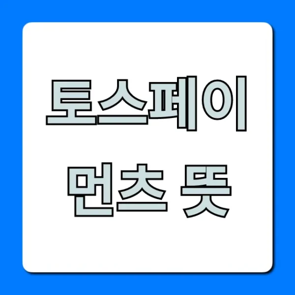 토스페이먼츠 뜻 궁금증 해결! PG사 완벽 정리