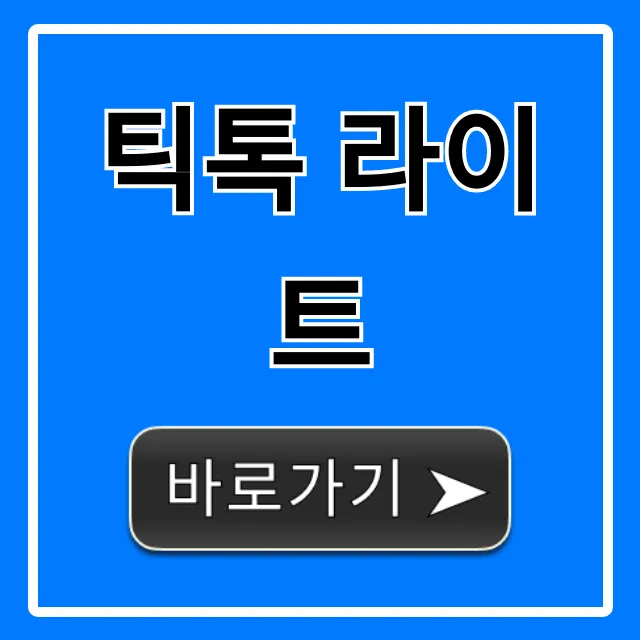 틱톡 라이트 돈 버는 법 완벽 가이드