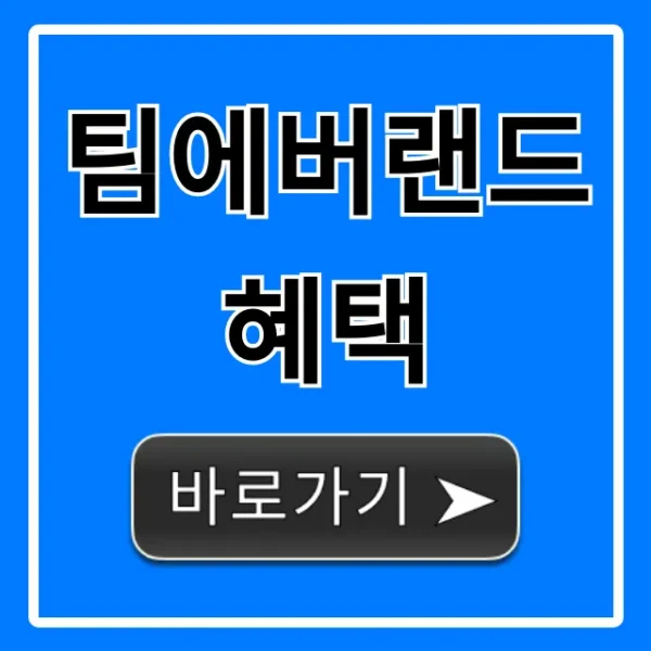 팀에버랜드 혜택 총정리! 최대 할인받는 꿀팁