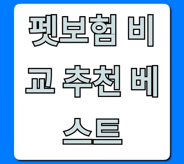 펫보험 비교 추천 베스트, 후회 없는 선택 가이드