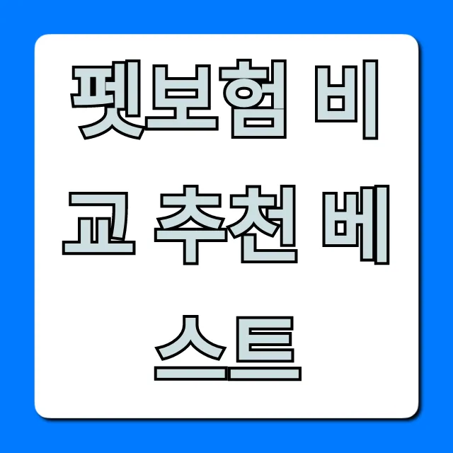 펫보험 비교 추천 베스트, 후회 없는 선택 가이드