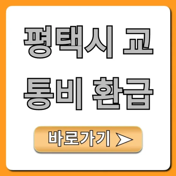 평택시 교통비 환급: 신청 방법부터 혜택까지 총정리