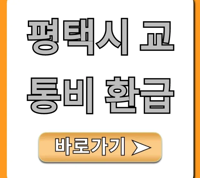 평택시 교통비 환급: 신청 방법부터 혜택까지 총정리