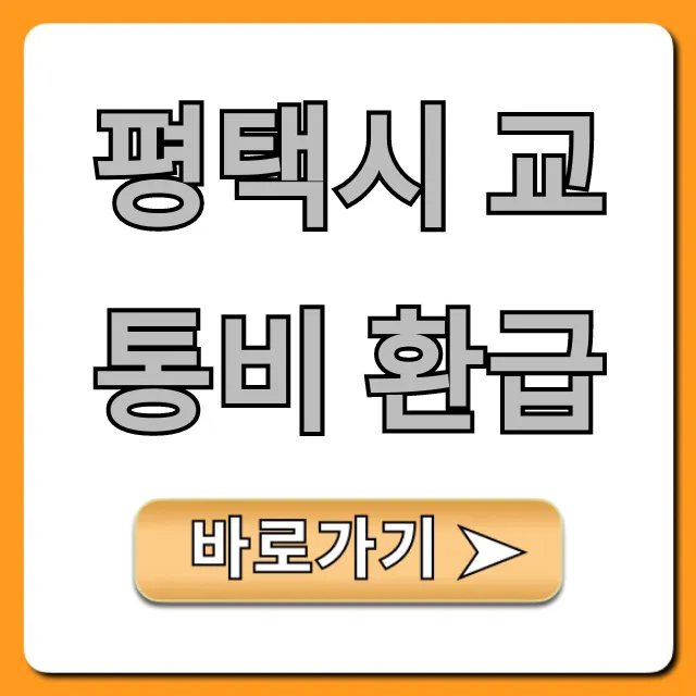 평택시 교통비 환급: 신청 방법부터 혜택까지 총정리