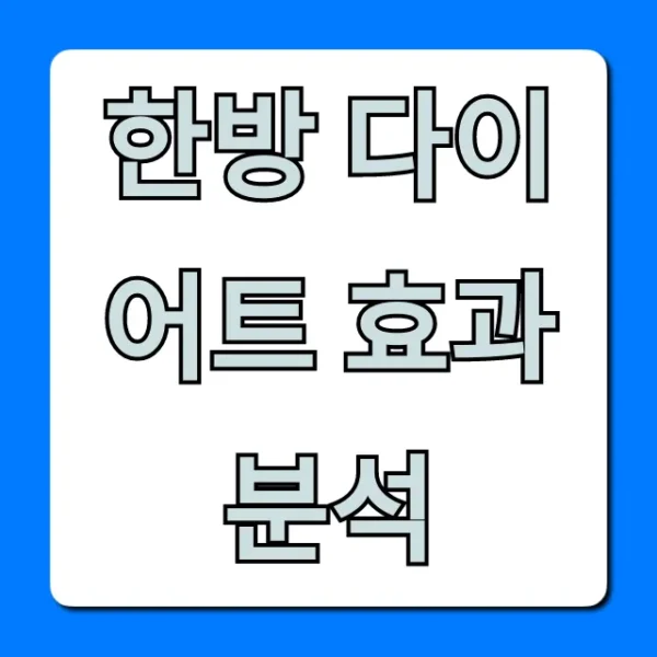한방 다이어트 효과 분석, 부작용부터 가격까지 총정리