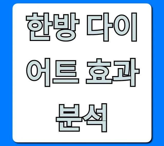 한방 다이어트 효과 분석, 부작용부터 가격까지 총정리