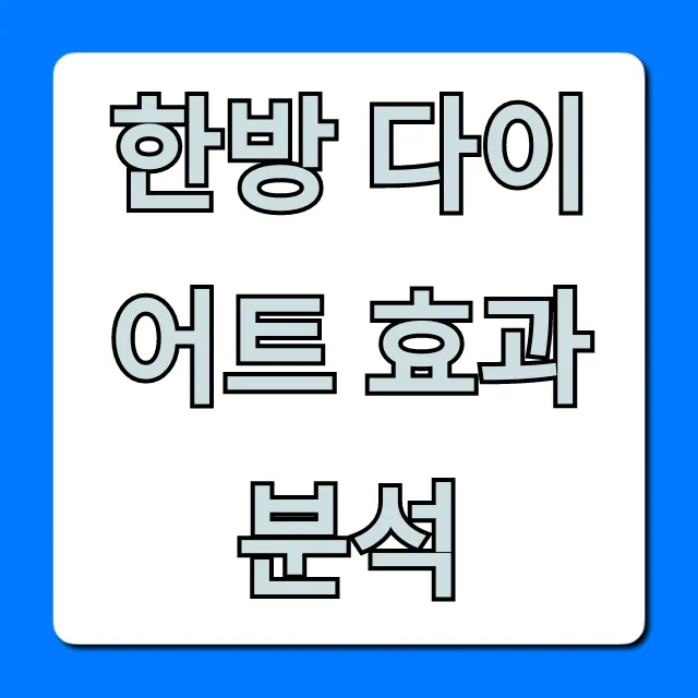 한방 다이어트 효과 분석, 부작용부터 가격까지 총정리