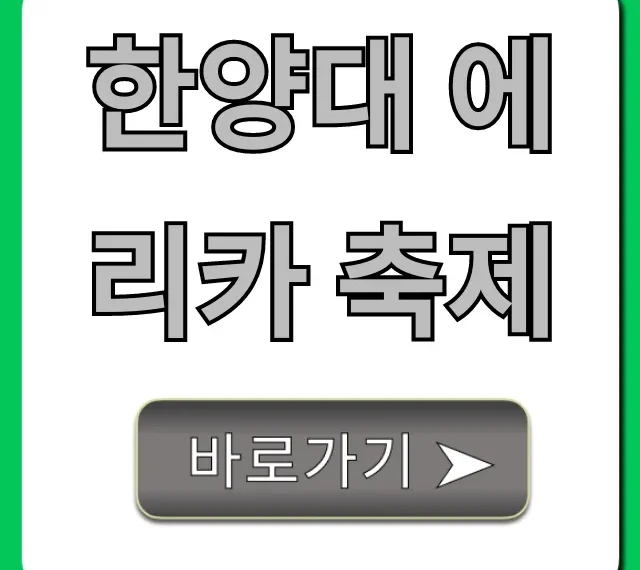 한양대 에리카 축제: 라인업, 일정 총정리