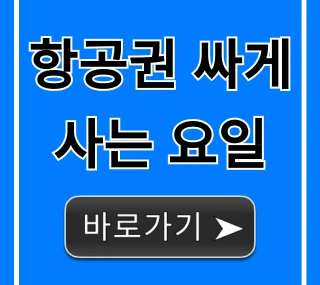 항공권 싸게 사는 요일, 이 시간 놓치면 손해!