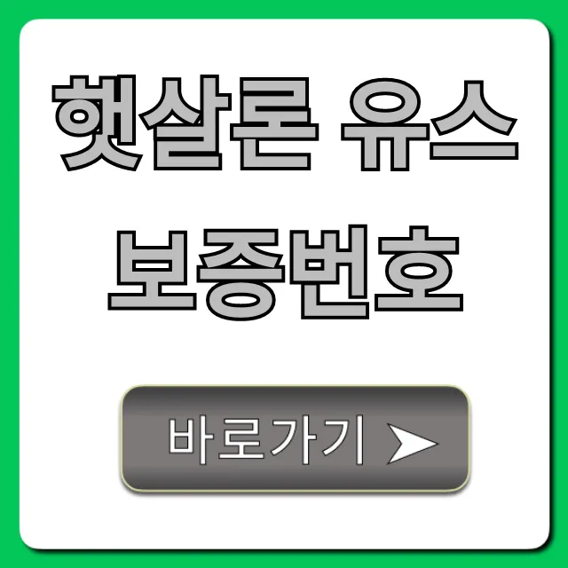햇살론 유스 보증번호 조회 완벽 가이드 햇살론 유스 보증번호 조회 완벽 가이드