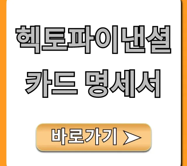헥토파이낸셜 카드 명세서 조회 방법 꿀팁