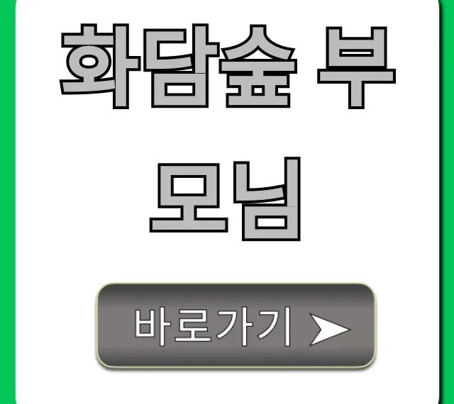 화담숲 부모님 위한 휠체어 코스 완벽 가이드