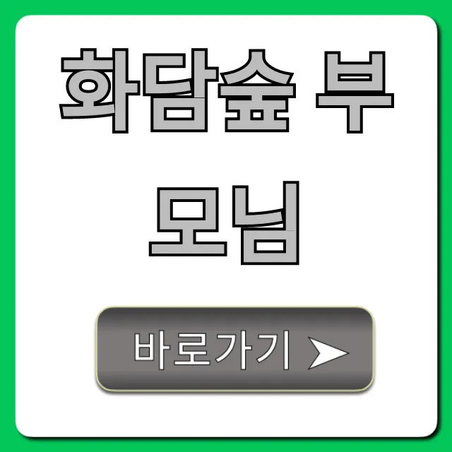 화담숲 부모님 위한 휠체어 코스 완벽 가이드