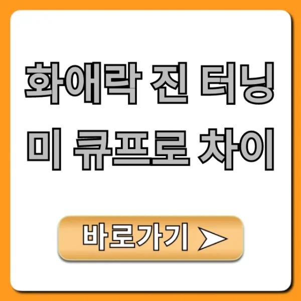 화애락 진 터닝미 큐프로 차이, 내게 맞는 건? 완벽 비교!