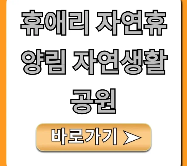휴애리 자연휴양림 자연생활공원 필수 코스 가격 총정리