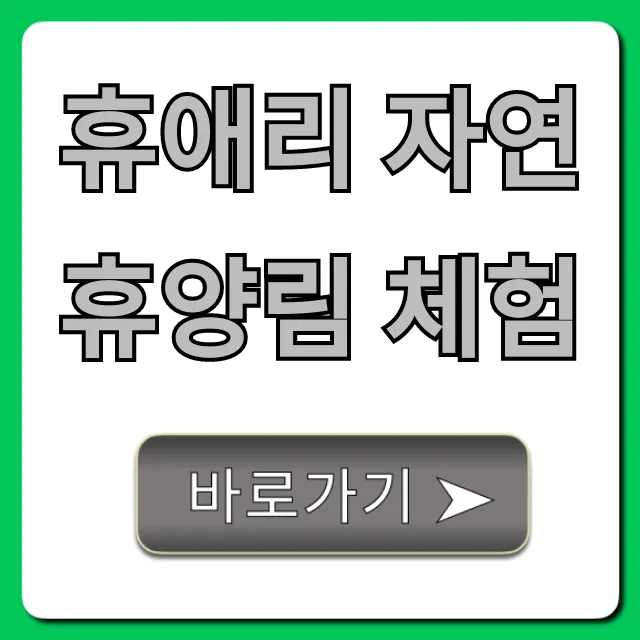 휴애리 자연휴양림 체험 총정리: 예약 & 할인 꿀팁