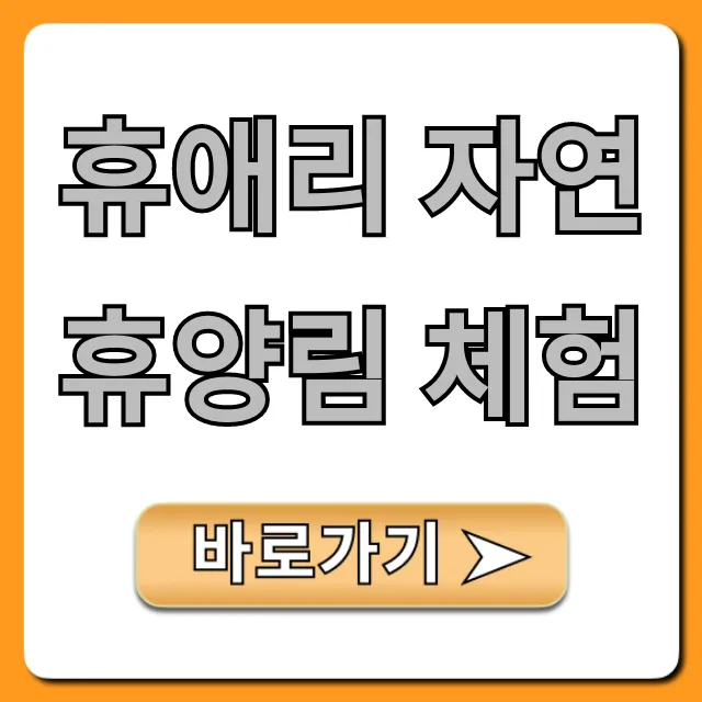 휴애리 자연휴양림 체험 코스 꿀팁 총정리 휴애리 자연휴양림 체험 코스 꿀팁 총정리
