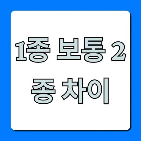 1종 보통 2종 차이? 운전면허 종류 완벽 가이드
