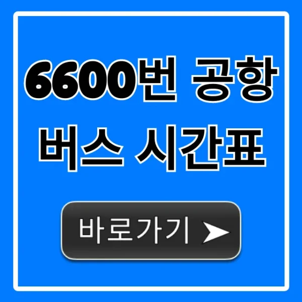 6600번 공항버스 시간표 최신 노선 요금 총정리