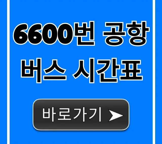 6600번 공항버스 시간표 최신 노선 요금 총정리