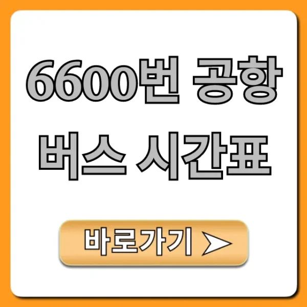 6600번 공항버스 시간표 최신 노선 총정리