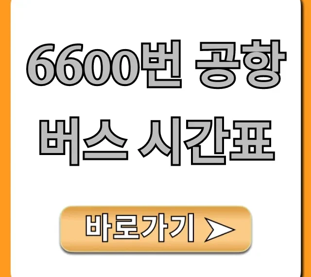 6600번 공항버스 시간표 최신 노선 총정리