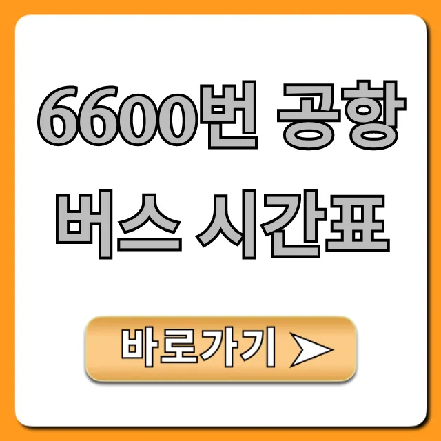 6600번 공항버스 시간표 최신 노선 총정리