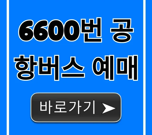 6600번 공항버스 예매: 시간표, 가격, 노선 총정리