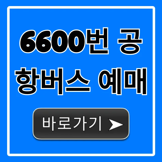 6600번 공항버스 예매: 시간표, 가격, 노선 총정리