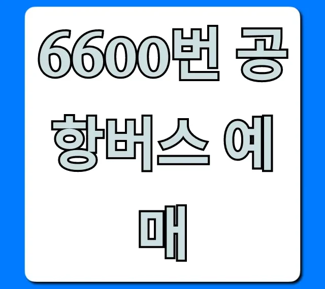 6600번 공항버스 예매 완벽 가이드 (시간표, 요금)