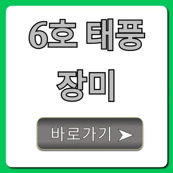 6호 태풍 장미 실시간 경로 및 영향 총정리