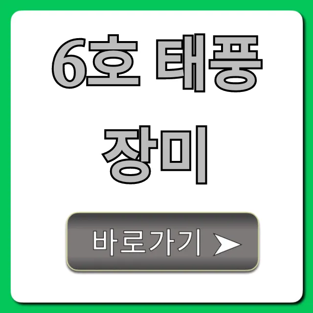 6호 태풍 장미 실시간 경로 및 영향 총정리