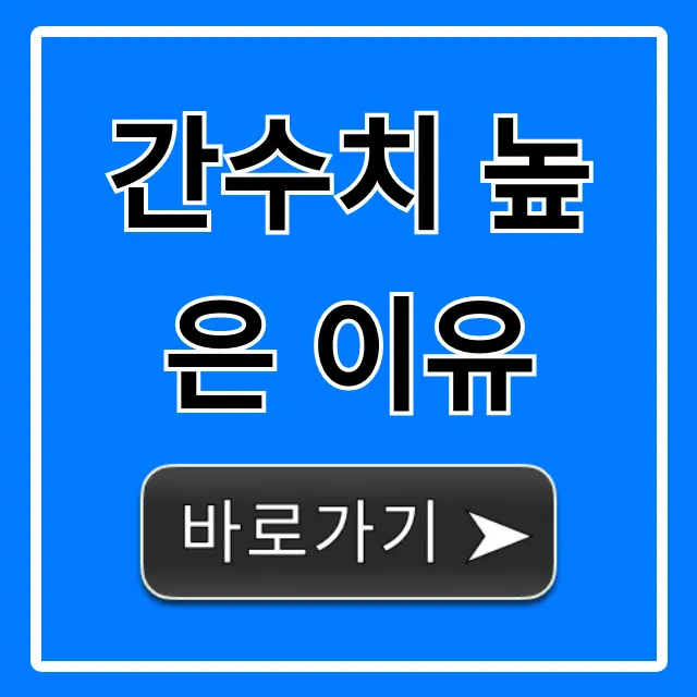 간수치 높은 이유: 증상부터 낮추는 법까지 총정리