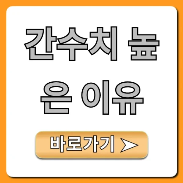 간수치 높은 이유 총정리: 원인부터 해결법까지