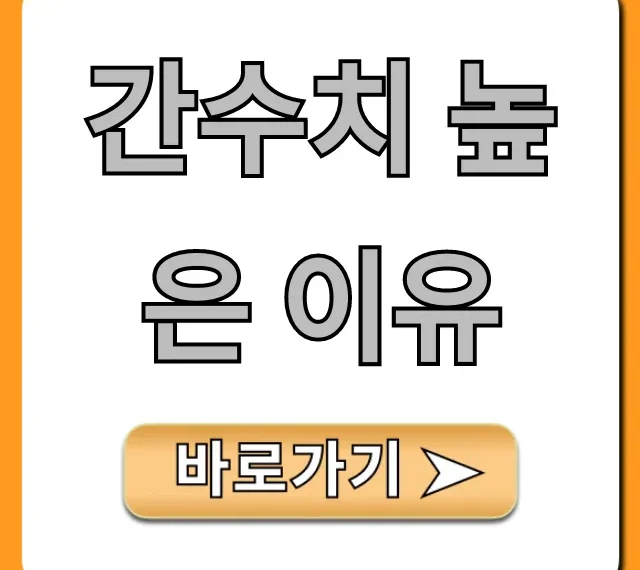 간수치 높은 이유 총정리: 원인부터 해결법까지