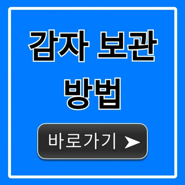 감자 보관 방법: 완벽 꿀팁 총정리