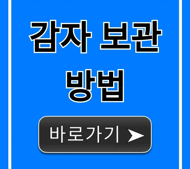 감자 보관 방법: 완벽 꿀팁 총정리