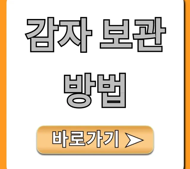 감자 보관 방법 총정리: 싹 안 나게 오래 보관하는 꿀팁