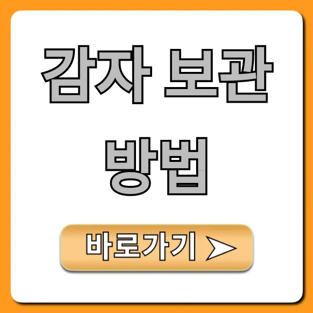 감자 보관 방법 총정리: 싹 안 나게 오래 보관하는 꿀팁