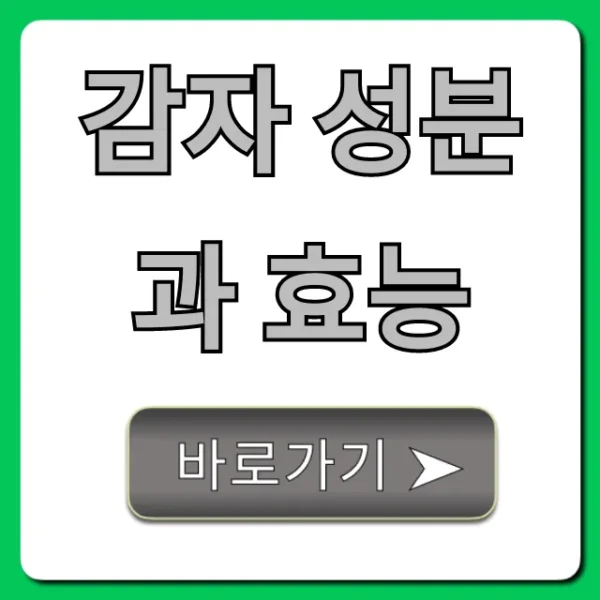 감자 성분과 효능 총정리! 다이어트 피부 건강 꿀팁