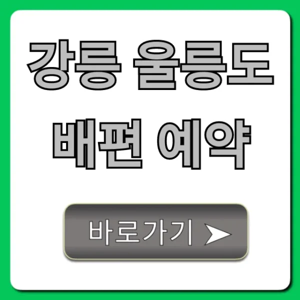강릉 울릉도 배편 예약: 가격 시간 할인 총정리